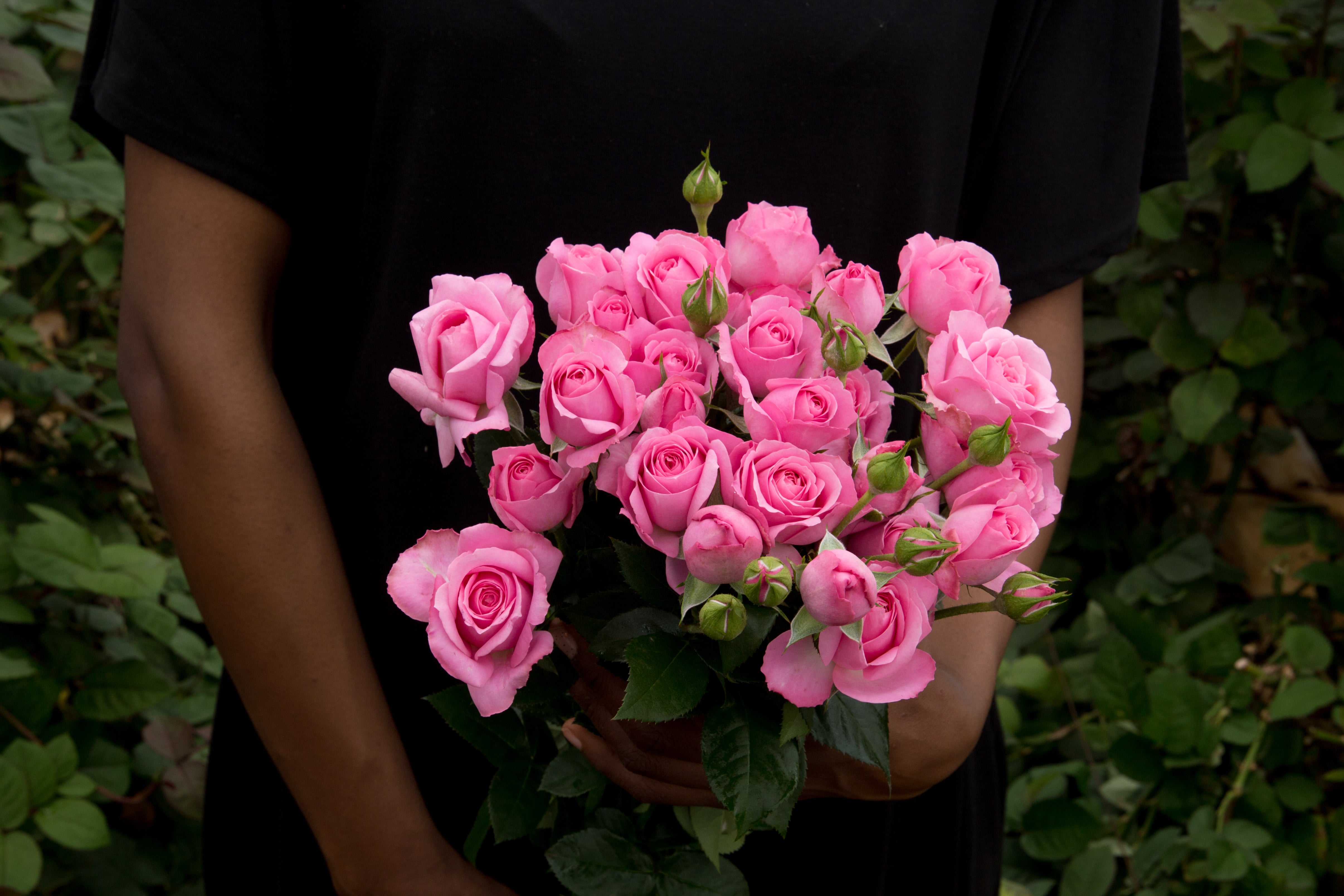 ROSE BR. JULIETA PRINCESSA 60